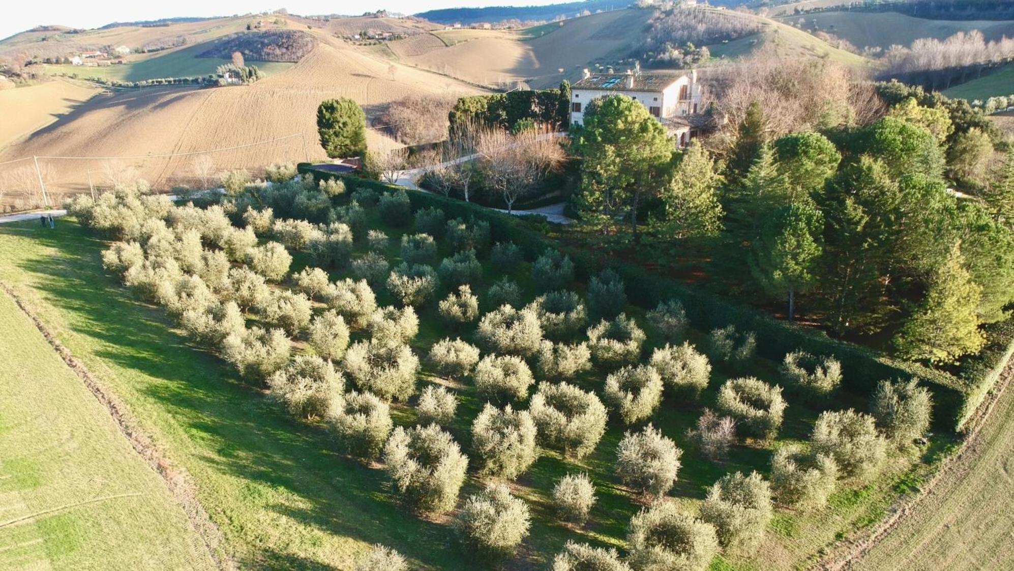 Monterosato Country House Monterubbiano Eksteriør billede